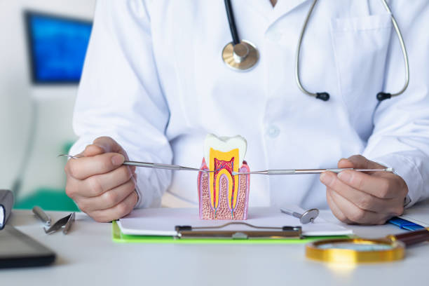 Best Emergency Broken Tooth Repair in Juneau, AK
